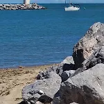 T2